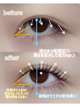 ミルコット(milkott)/カール＆立上/まつげパーマ