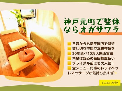 整体オガサワラの写真