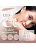 【アンドヘルシー】LED無料!!フラットラッシュ100本/まつげパーマ ¥9,900