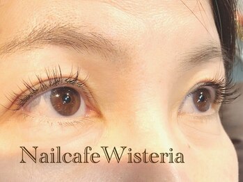 ウィステリア(Wisteria)/マツエク80本