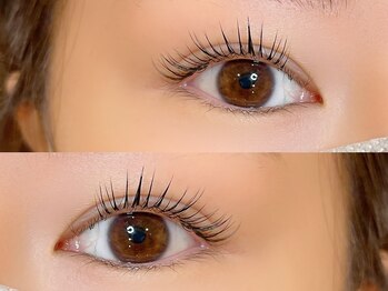 シル シェノン(cil shenon)/パリエク50本