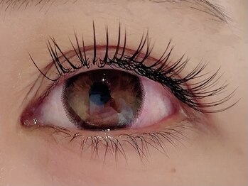 カラン 焼津店(CALIN)/フラットラッシュ140本