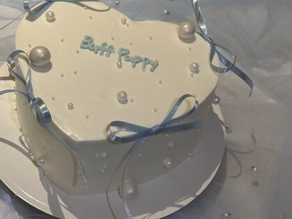 バフパピー(Buff Puppy)の写真