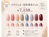 【パラジェル】ワンカラー、グラデ、定額制シンプル対応/￥7150→