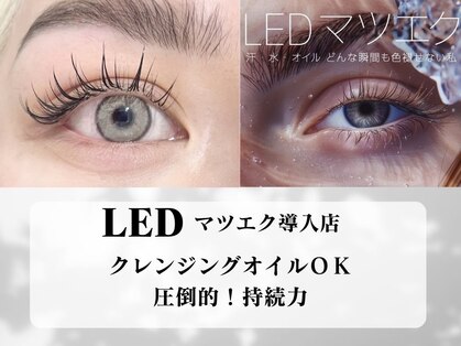 ココット(cocott)の写真