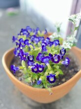 マシュマロハンド/よもぎ蒸し/冷え/むくみ改善