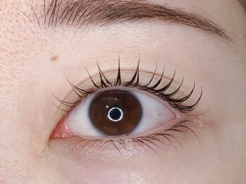 エム(M)の写真/丁寧な施術でモチの良さ◎歴10年の高技術で納得の仕上がりに！ナチュラルに目力UPを叶えます♪