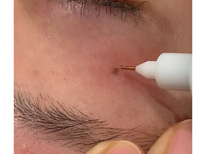 パイシーズ(Pisces)の写真