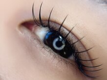 ラウ(Lau)/フラットラッシュ120本