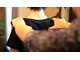ボディプラストウキョウ 表参道店(BODY PLUS TOKYO)の写真/デスクワーク疲れに!贅沢個室空間で肩こり首こりを根本改善し、スッキリ解消。