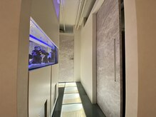 シエルエス(Ciel s)/