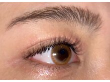 ジョリー(Jolie)/