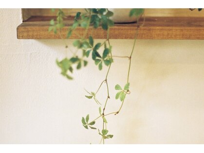 スパ クイクレイディト(Spa Qui Creidet)の写真