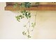スパ クイクレイディト(Spa Qui Creidet)の写真