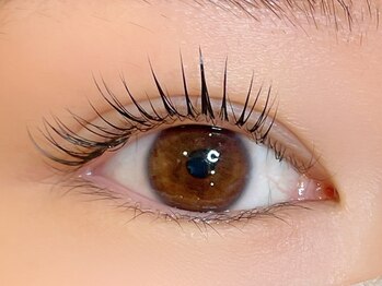 シル シェノン(cil shenon)/パリエク50本