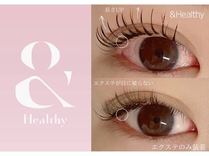 ラ レーヌ(La-leine)の写真