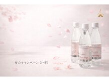 シャンティティスタジオ(shantiti studio)/春のご購入特典