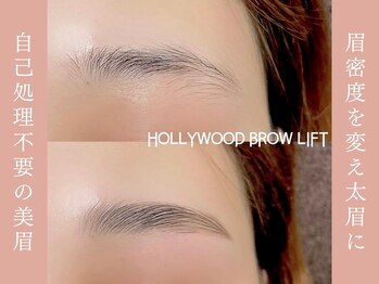アイラッシュサロン ヴィヴィ 岡崎店(Eye Lash Salon Vivi)/【 Hollywood Brow Lift 】