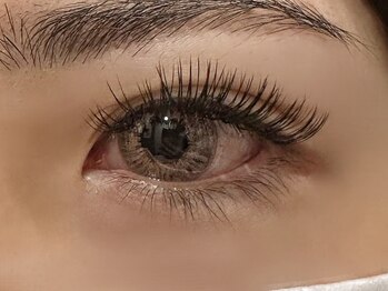 フリー#240(Free#240)/ダブルフラット付け放題