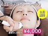 【8月限定1,000円OFF】エレクトロポレーション