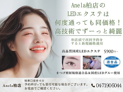 アネラ 柏(Anela)の写真