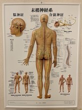 坂口カイロプラクティック整体院/院内写真