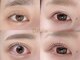 ダリア(Dahlia)の写真