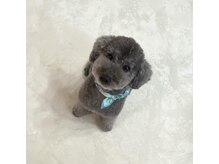 施術中にいてます　※苦手な方はお伝えください