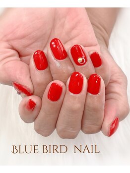 ブルーバードネイル(Blue bird nail)/ワンカラーnail