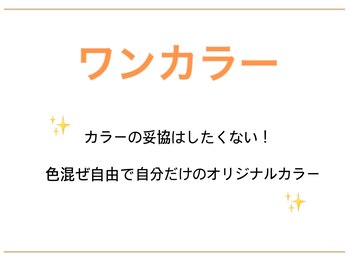 ゆちたの部屋/ワンカラー