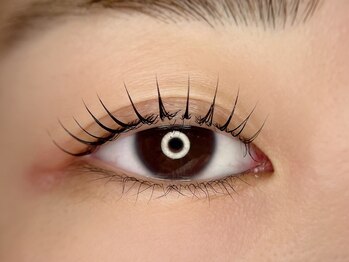 ジェミニアイラッシュ 浅草橋(gemini eyelash)/ラッシュリフト