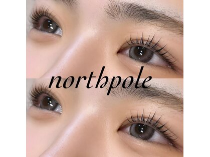 ノースポール(north pole)の写真