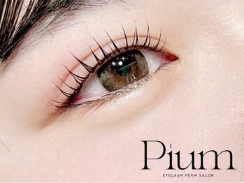 ピウム(Pium)の写真/お客様の目元の健康を一番に考えるまつ毛パーマ専門店◎お財布にも目にも優しいトリートメント♪