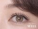 ウィル 新潟小新店(WILL)の写真/《フラットラッシュつけ放題￥4500》ふんわり軽量×モチ抜群!自然な仕上がりでいつでも美しい目元へ