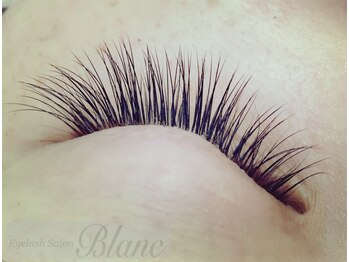 アイラッシュサロン ブラン イオン上越店(Eyelash Salon Blanc)/【ボリューム】春キャン上160本