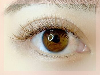 ミュウ(mieux)/ダブルフラットラッシュ*100束