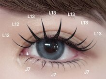 ビーナスベルト 池袋(VENUS BELT)/上下フラットラッシュ