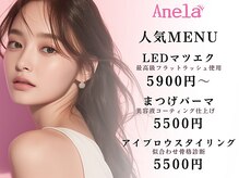 アネラ 柏(Anela)