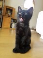 レディア 玉城サニーロード店(Re:Dear)&nbsp;猫も好きです！名前は、“エール”