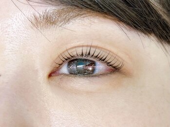 アーク ネイルアンドアイビューティ(Ark)/まつげパーマ