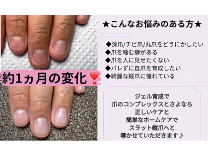 タヌ(TANU)の写真