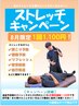 【8月限定！ストレッチキャンペーン】¥2,200→¥1,100