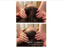 スターリィ スカイ(Starry☆Sky)/【ハイドロ/スキャルプ】