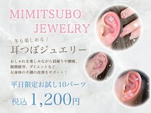 ココロビューティーギャラリー 武蔵小杉(cocorobeauty gallery)の雰囲気（パーツの種類豊富★武蔵小杉/耳つぼジュエリー/ダイエット/ツボ）