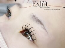 ベルダ(BELDAD)/Exlift フラット100本