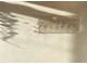 フェザー(Feather)の写真
