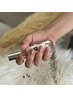 再来/  シンプルコース　 カラー2色まで可 