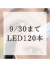 【9/30まで★Jr.アイリスト担当】ＬＥＤフラットラッシュ120本(オフ込)¥7,650