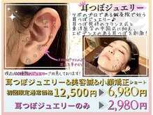 あらき鍼灸整体院の雰囲気（【話題の！】鍼灸院の耳つぼジュエリー！ツボのプロにお任せ♪）