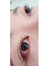 コア(Koa)/パリエく80本